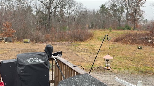 First snow of the season | Ann Friedman