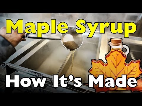 How Is Maple Syrup Actually Made?