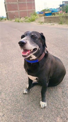 Kash Koi ladka mujhe pyar Karta