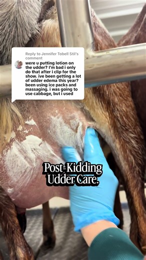 Effective Udder Care Post-Kidding with Udder Comfort