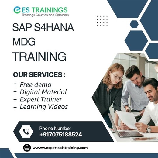 SAP S/4HANA MDG 💼 TRAINING#expertsofttraining #saps4hana