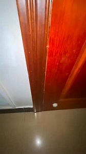 107K views · 1.6K reactions | Funny Cat editor | Funny.cat.editor | Facebook