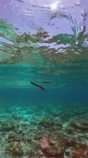 Yabiji Reef Miyakojima, Okinawa.