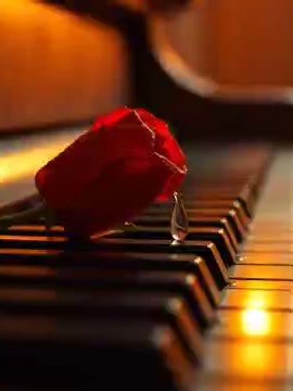 ‏Laal Ishq #bollywoodsong #hindisongs @shahimusic