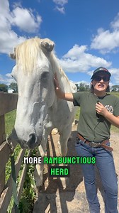 606K views · 38K reactions | Goodness gracious.....could Goose...