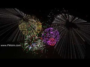 Virtual Fireworks with FWsim