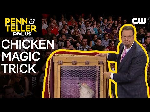 Penn & Teller Perform Chicken Magic Trick | Penn & Teller: Fool Us | The CW