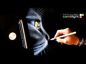 How to Draw a Profile Cat - Black Paper - White Pencil & Airbrush
