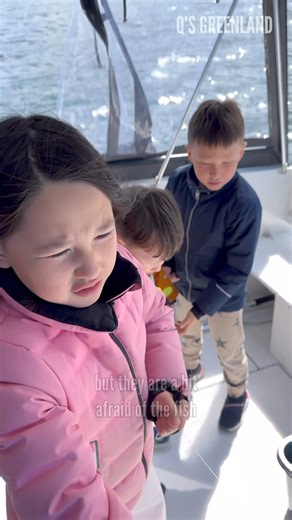 Fishing in Nuuk fjord, Greenland. Day 53 of 60. Music: Do It, Musician: @iksonmusic #greenland #qsgreenland #fishing #nature #pure #fjord #selfsufficient #nuuk #cod | Q’s Greenland