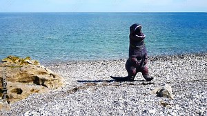 Funny inflatable dinosaur on pebble beach having fun lifting rock during summer heatwave
