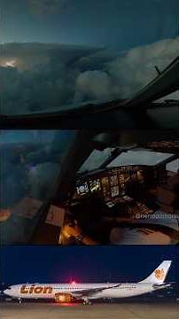 Bad Weather Cockpit View A330