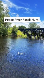 51K views · 385 reactions | #fossil #artifact #adventure #adventuretime #explore #fossils #abandoned #exploring #railroad #train #artifacts #relic #metaldetecting #river | The Russian Archaeologist | Facebook