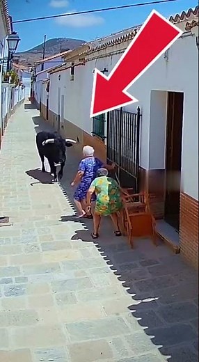 ¡TERRIBLE SUSTO! EL TORO ALCANZA A UNA DE LAS ABUELAS EN PLENA CALLE 😱🐂 #shorts #toros #bulls