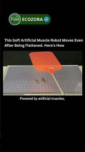 This Robot Insect Survives Being Crushed 😳 #robotics #innovation