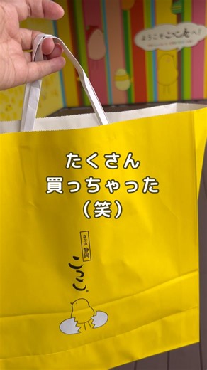 【静岡】こっこ庵🐤であれやこれや大人買い♪✨@こっこっちwalk#vlog #静岡#銘菓#こっこ#こっこ庵#shorts#蒸しケーキ