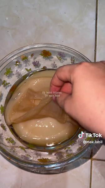 Panen Kombucha Segar dan Cara Membuatnya