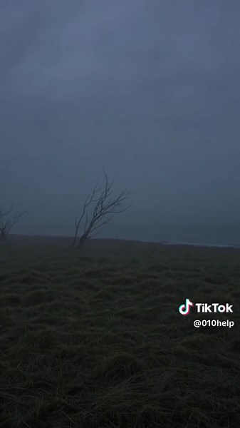 Emotional Sad Videos to Help You Process Loss