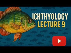 Ichthyology - Lecture 9 | Fish Mating Systems, Fertilization & Embryonic Development