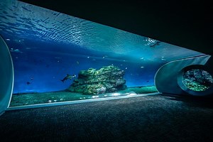 Pacific Seas Aquarium Project | IAS Inc.