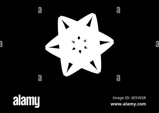 A detailed white geometric star shape with six distinct points is centrally placed on a stark black background. The star has a layered appearance with overlapping elements and internal cutouts, showcasing a symmetrical and complex design Stock Video Footage - Alamy
