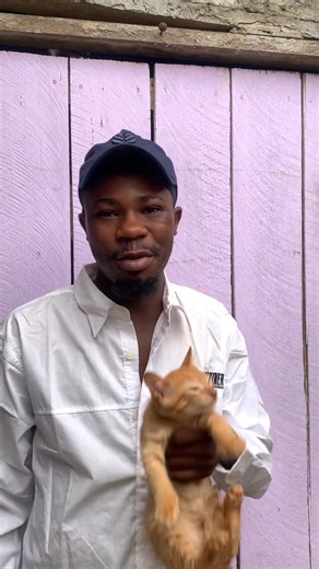 La famille j’ai un nouveau film sur YouTube aller y regarder svp lé lien https://youtu.be/4iEtAIfGcZM?si=bhaKuhKPZINBC6I7 | Bananas donne le sourire