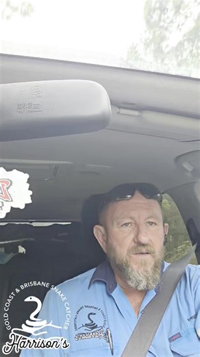 3.9K views · 101 reactions | Carpet python from witherin | Harrison's Gold Coast and Brisbane Snake Catcher | Facebook