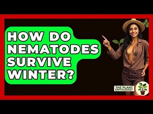 How Do Nematodes Survive Winter? - The Plant Enthusiast