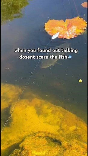 what age? #fishing #fishingvideo #fishinglife #shorts #fisherman #fishingtips #fishingshorts #fyp