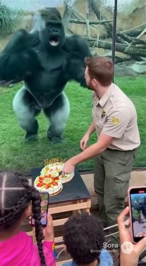 🤯 “Zookeeper vs Gorilla: Camera Caught the WILD Moment😱😰#shorts