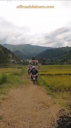 ⚙️ Through Wild Country ⚙️ Vietnam Motorbike Tours #vietnam #motorcycle #motorbike #tours #rental