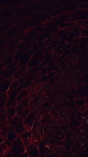 #utopija #fy #fyp #foryou #fyyyyyyyyyyyyyyyy #fyy #viral #viralvideo #edit #speedsongs #speedsongbalkan #serbia #beograd #spotify #nevenabozovic #bal #fraujovana #breskvica #sergejpajicc #russia #zeljkosamardzic #dzenanloncarevic #desingerica #jelenakarleusa #anjablaa #nikolija #inas #instagram #jalabuba #bakaprase #spring #ustanausta #grse #ukiq #xenijapajcin #jalabrat #panda #thcf #tokyo #lexintonband #dejanmatic #toseproeski #nino #exyu #exyumuzika #retro #senidah #dayday