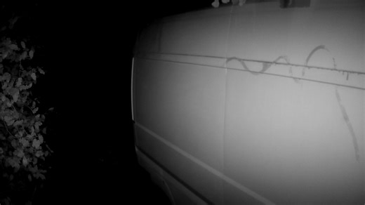 7.7K views | Newport City Council on Reels | Facebook