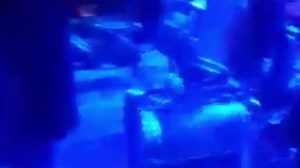 Impacto musical | Impacto musical