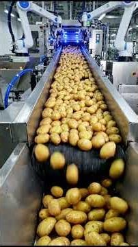 How Potato Chips Are Made in Factory | Complete Potato Chips Manufacturing Process
