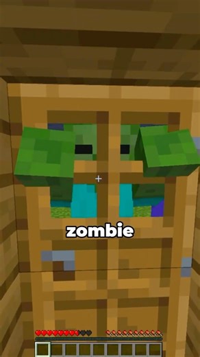 Zombies can never break down this door #minecraft