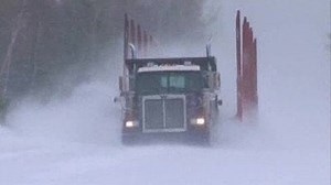 Watch American Loggers Season 1 Episode 8 - Hammer Down