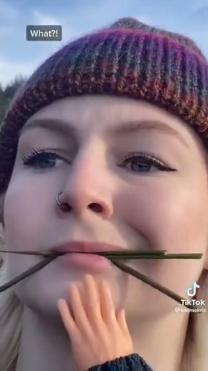 KallmeKris Karen Tik Tok