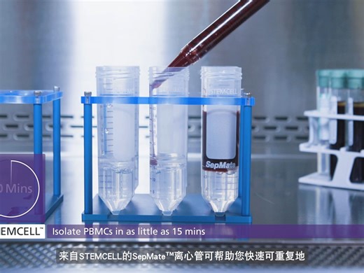 使用SepmMate可15分钟轻松分离外周血单个核细胞