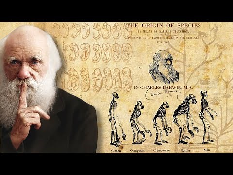 Evolution vs. Creation: Examining the Controversial Debate