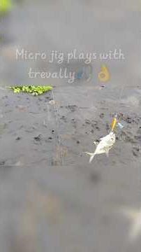 Micro jig different playing techniques.. #microjig #fishing #angler #viral #fyp
