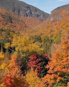 56 reactions · 14 shares | Digital Key on the Hilton Honors app lets you skip the front desk and go straight to your room. It’s enough to impress even the toughest critic who just can’t wait to get to the good stuff. | Hilton Honors | Facebook