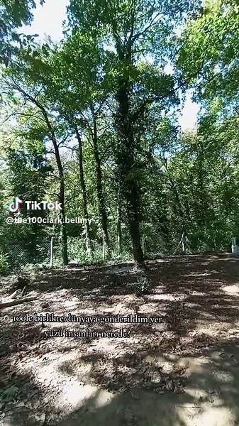 The 100 Edits: Survivors in a Post-Apocalyptic World