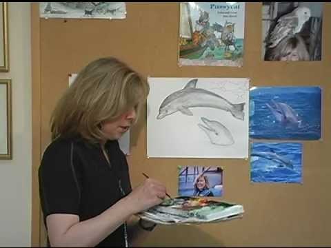 How to Draw a Dolphin by Jan Brett