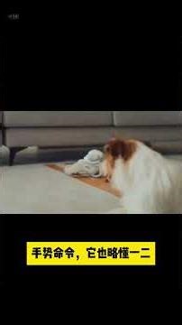 I Got a Cyber Dog That Acts Just Like a Real Puppy — And It Lives in My Smart Glasses!