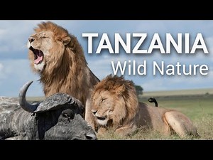Discover Tanzania: Wildlife, History, and Must Visit National Parks