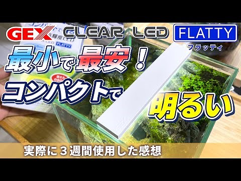 水草は育つのか？小型水槽にピッタリなライトを最遅レビューしていく。GEXフラッティ#アクアリウム #水草水槽