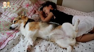 714K views · 10K reactions | Here is 1 minute of puppies & babies snuggling to brighten your day! Like our page for more uplifting & positive content.  | UpbeatNews | Facebook