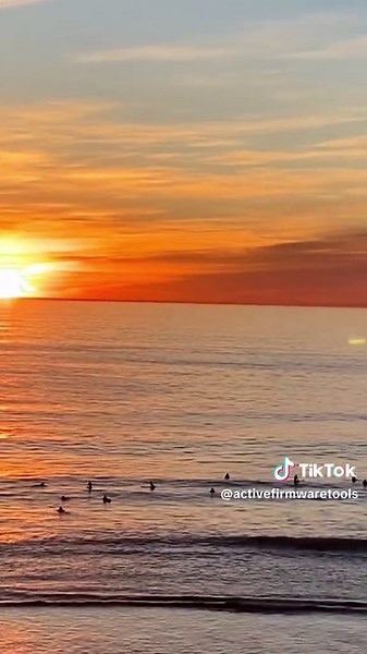 Active-Pro: A Fast Approach to Debugging Firmware