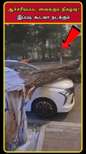 Most Luckiest Person | The Luckiest Men Ever | Lucky Person | Most Luckiest Moment | #shorts