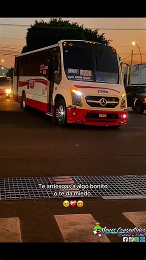 Stylish Trucks and VIP Buses: Uniting Quality and Style